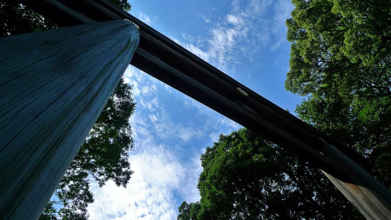 meiji jingu torii looking skyward blue skies clouds tokyo japan meiji jingu torii looking skyward blue skies clouds tokyo japan