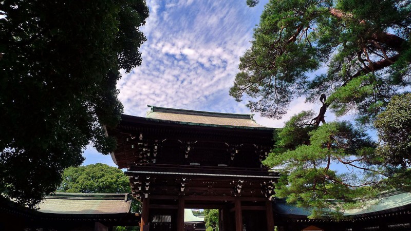 meiji jingu inner gate tokyo japan meiji jingu shrine inner gate tokyo japan 明治神宮 写真
