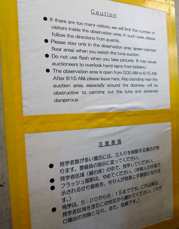 tsukiji fish auction maguro tuna rules time