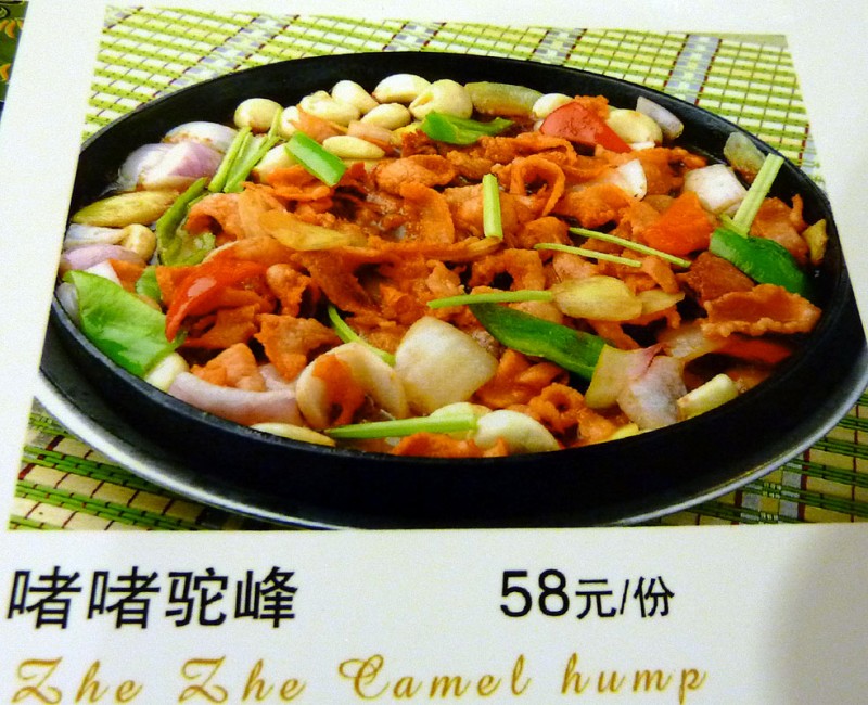 camel hump
