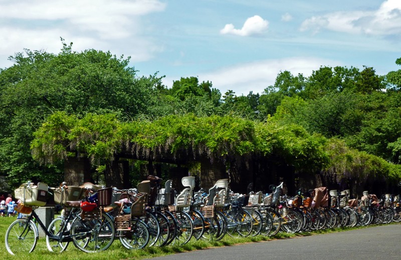 child bike seats japan