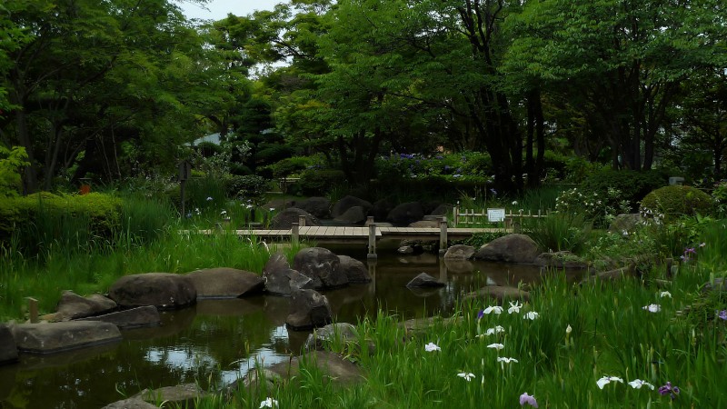 japanese garden