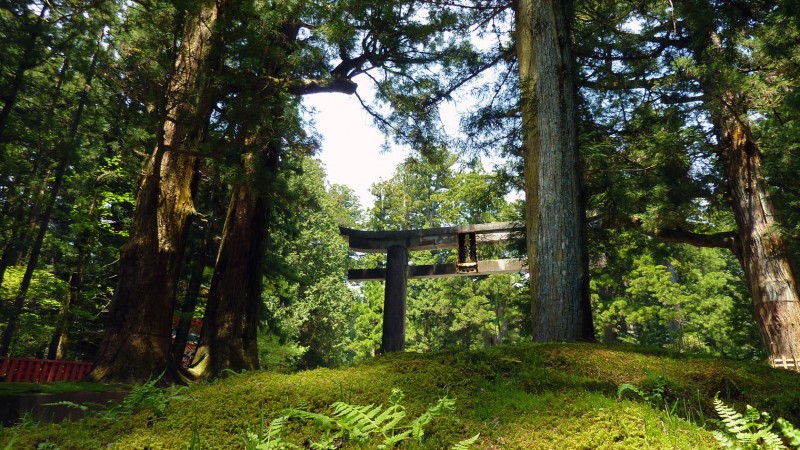 toshogu torii gate nikko japan