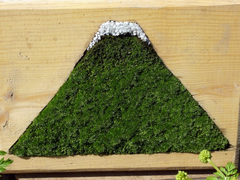 mt. fuji art