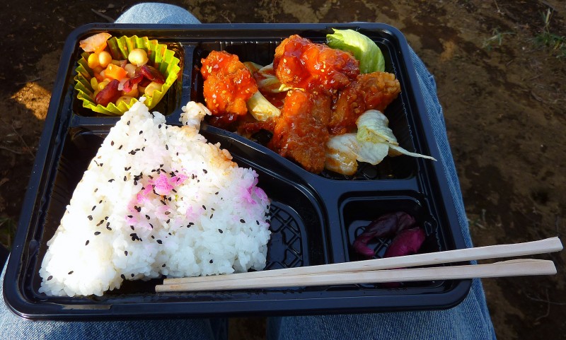 bento japanese box lunch hike