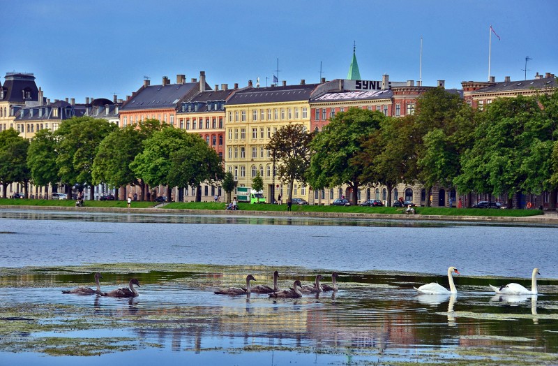 the ugly duckling copenhagen denmark the ugly ducklings copenhagen denmark lake