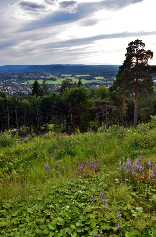 Holmenkollen view scene from near the oslo ski jump