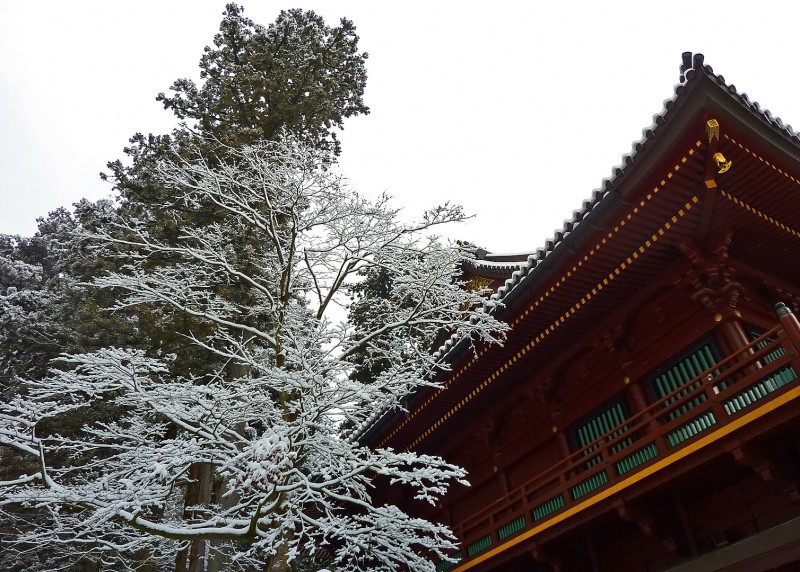 Rinnoji 輪王寺