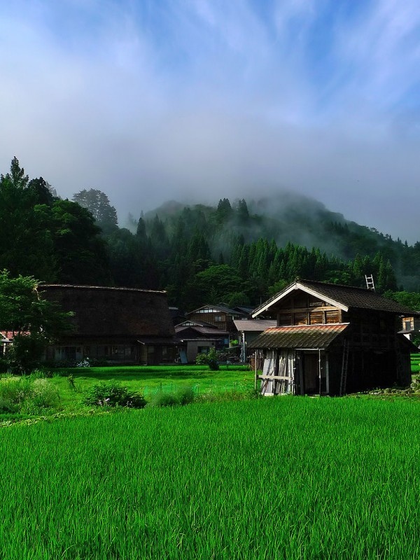 shirakawa village japan rice paddies fog