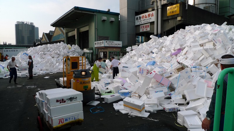 tsukiji fish market