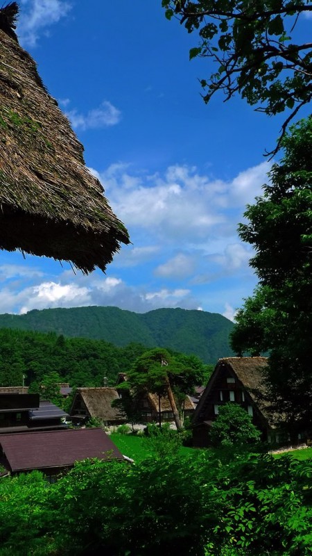 shirakawago rice paddies japan gassho zukuri thatch roof