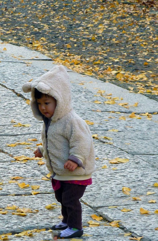 japanese baby girl leaves