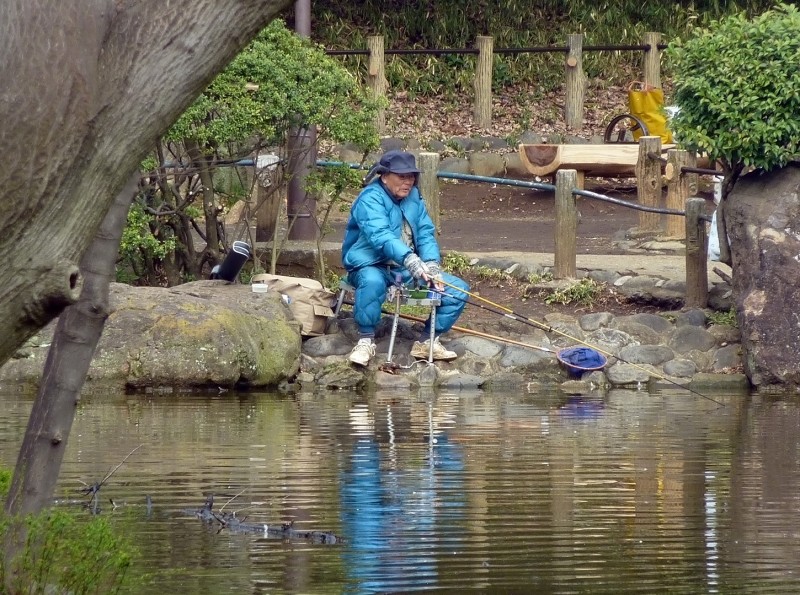 fishing Arisugawa-no-miya Memorial Park tokyo japan 有栖川宮記念公園