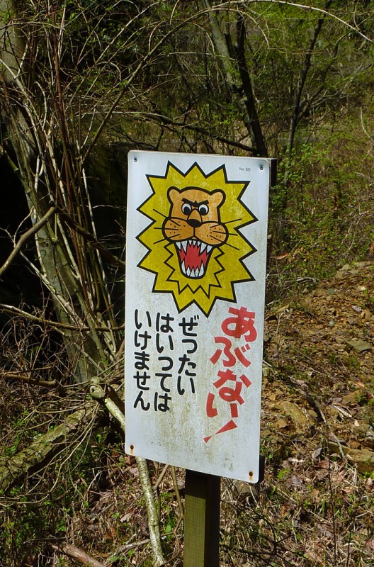 abunai lion tanzawa danger japan beware of lions tokyo japan
