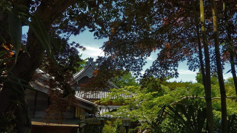 koganei sankoin tokyo nunnery 小金井 三光院 sankouin