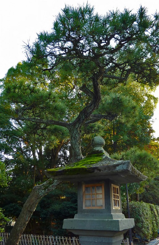 japanese scene stone lantern kamakura matsu