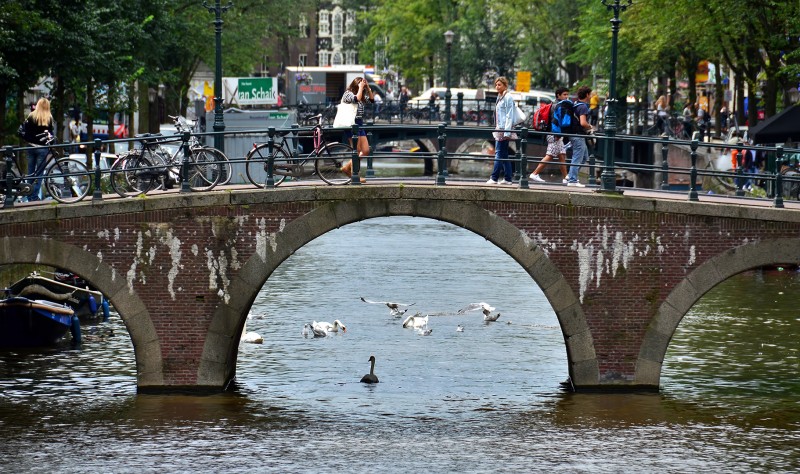 amsterdam holland birds girls bikes bridges