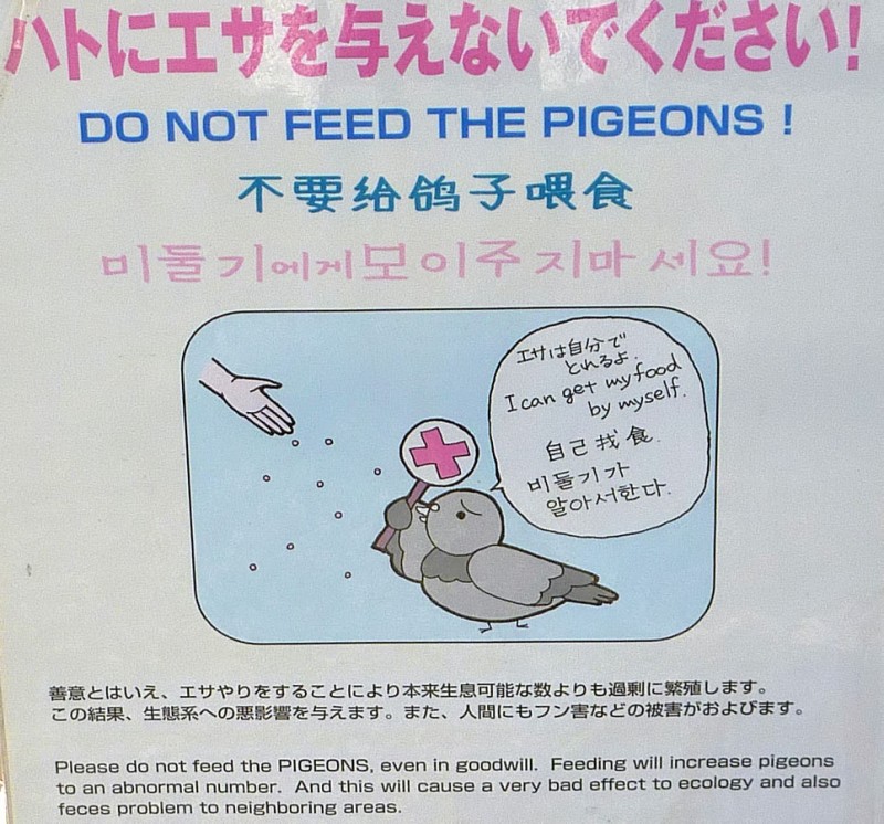 do not feed the pigeons don't asakusa tokyo japan 