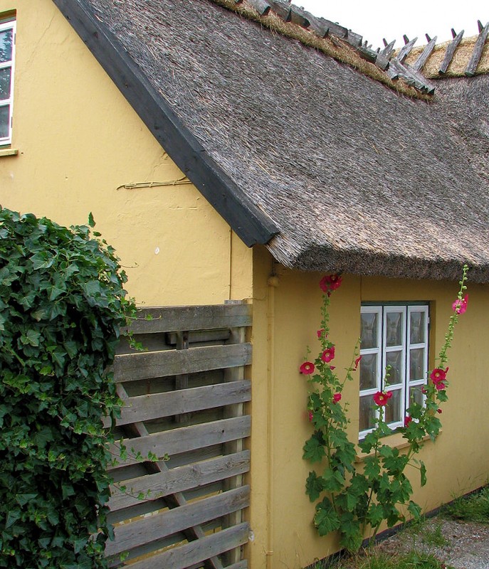 Gilleleje Dragør denmark yellow houses thatched roofs flowers