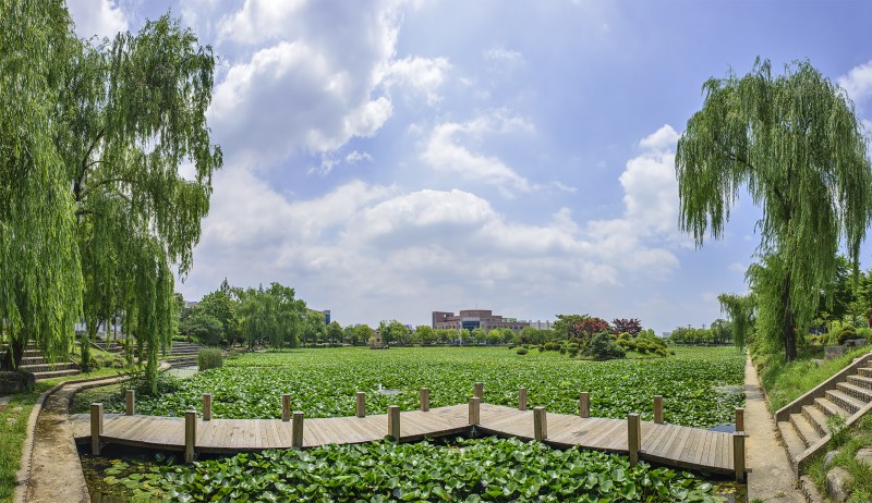 lotus pond chonnam national university gwangju korea photomerge