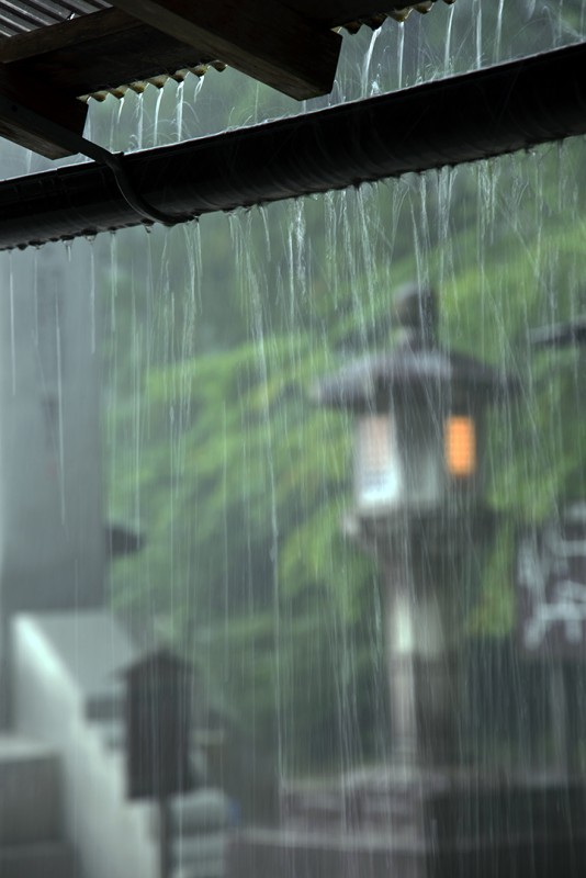 koyasan rain 高野山