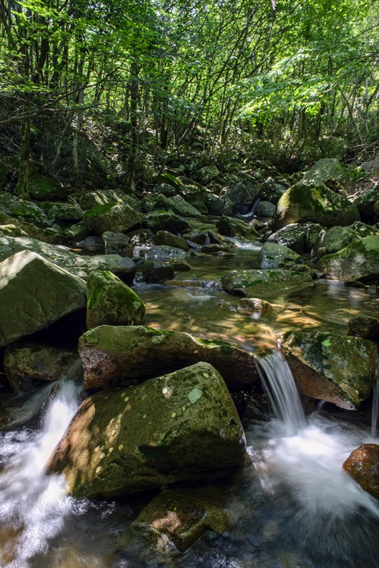 mudeungsan creek gwangju south korea mount mt mudeung
