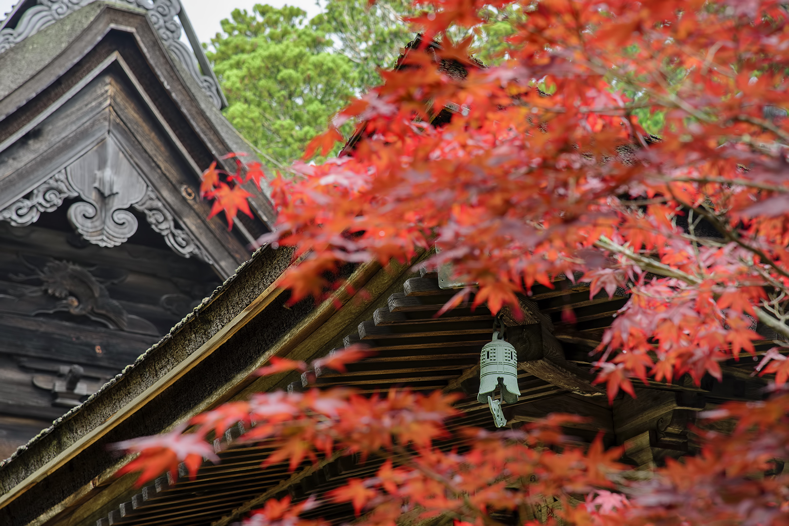 金剛峯寺 kongobuji garan 壇上伽藍 koyasan