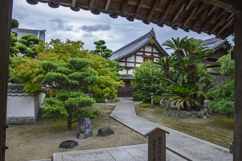 shofukuji palm trees
