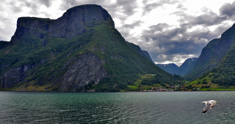 norway in a nutshell Undredal Aurlandsfjord