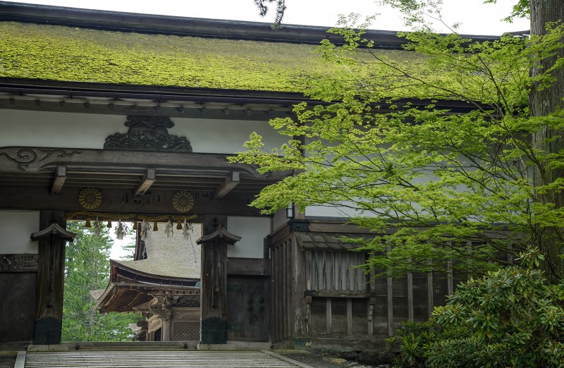 Kongōbu-ji 金剛峯寺 koyasan