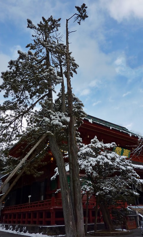 Rinnoji (輪王寺)