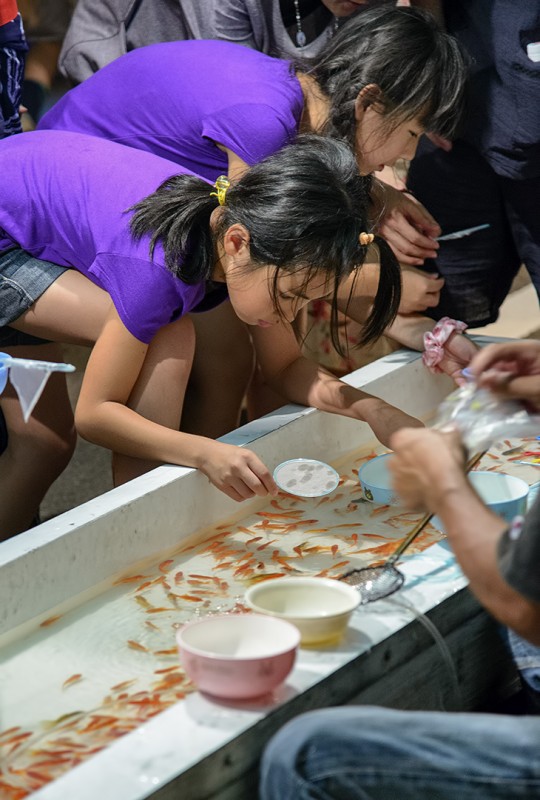 金魚を飼う japan matsuri panning gold fish inuyama hanabi taikai
