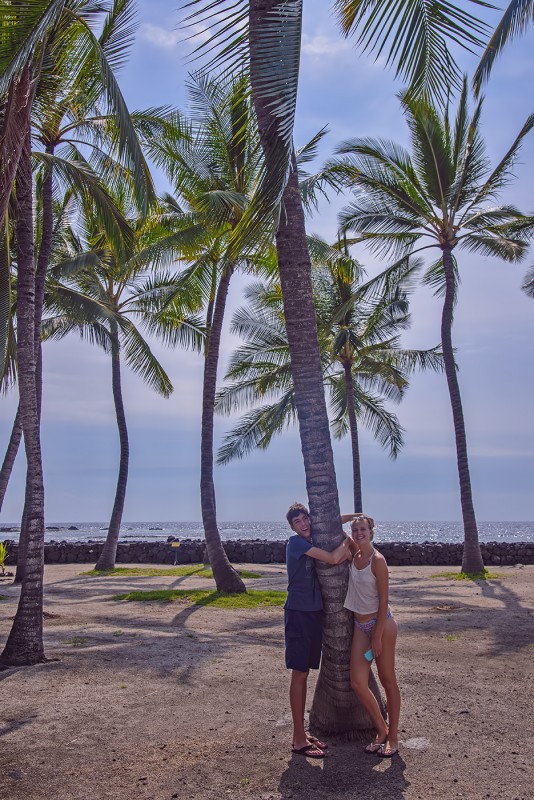 ryan ellie refuge hawaii palm trees