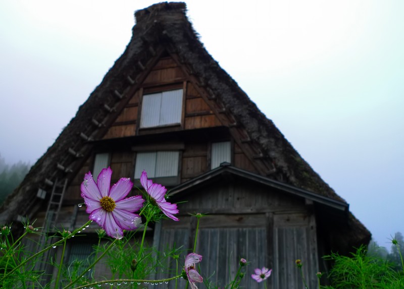 shirakawago gasshozukuri rain drops
