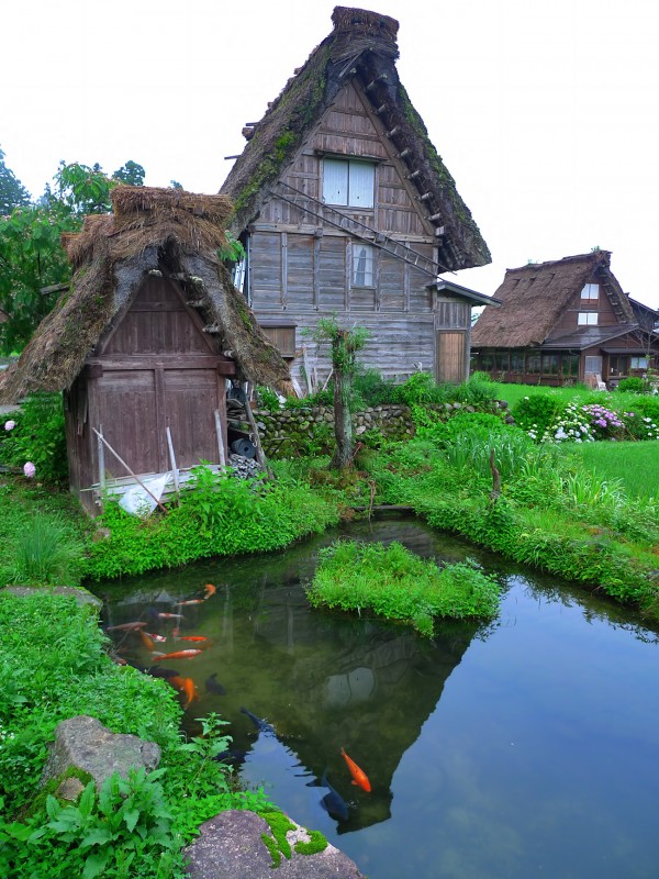 P1090493 shirakawago