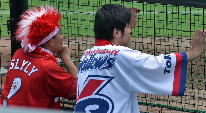carp swallows fans slyly hiroshima