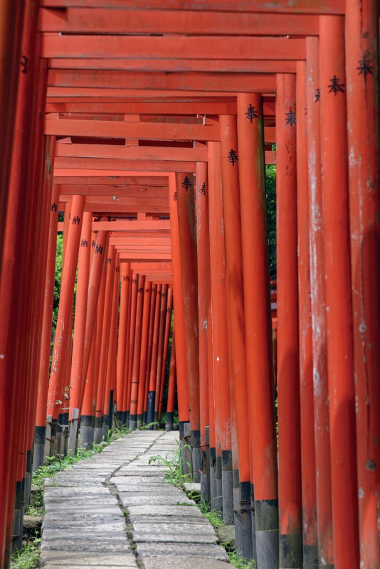 nezu jinja tokyo torii gates path