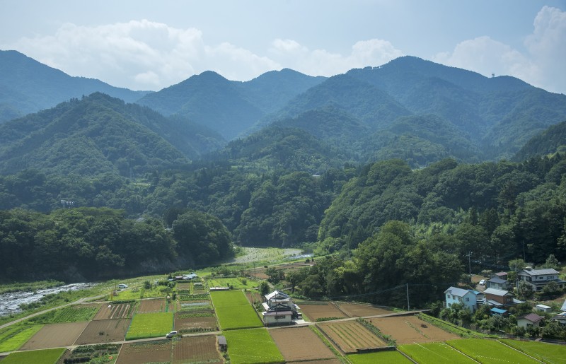 view from train between kofu and tokyo