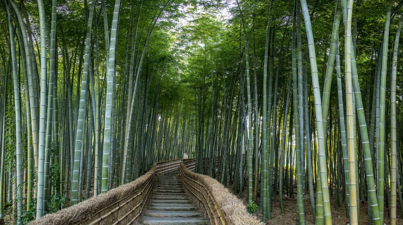 five photo photomerge bamboo stairs nenbutsuji
