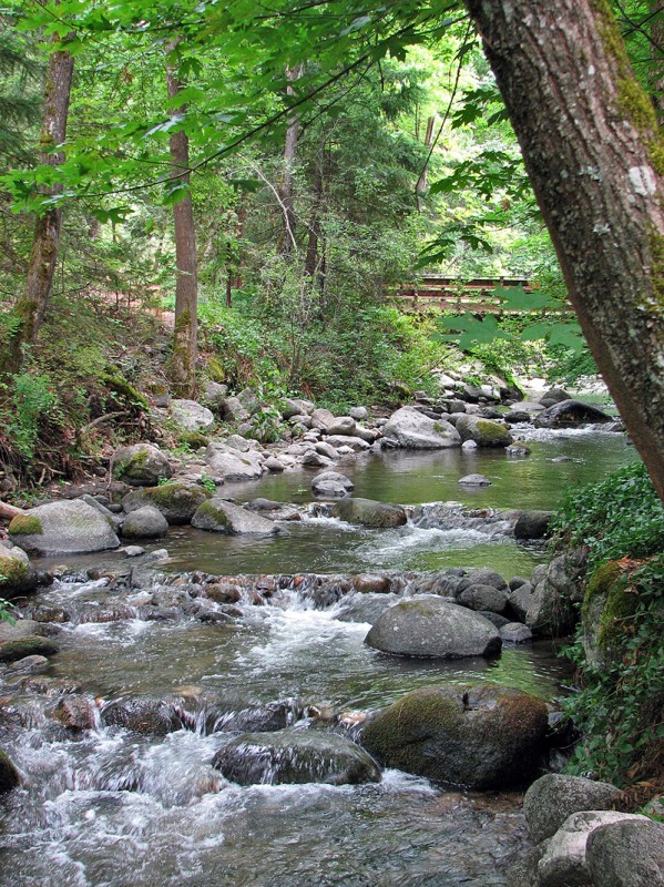 lithia creek in lithia park with bridge