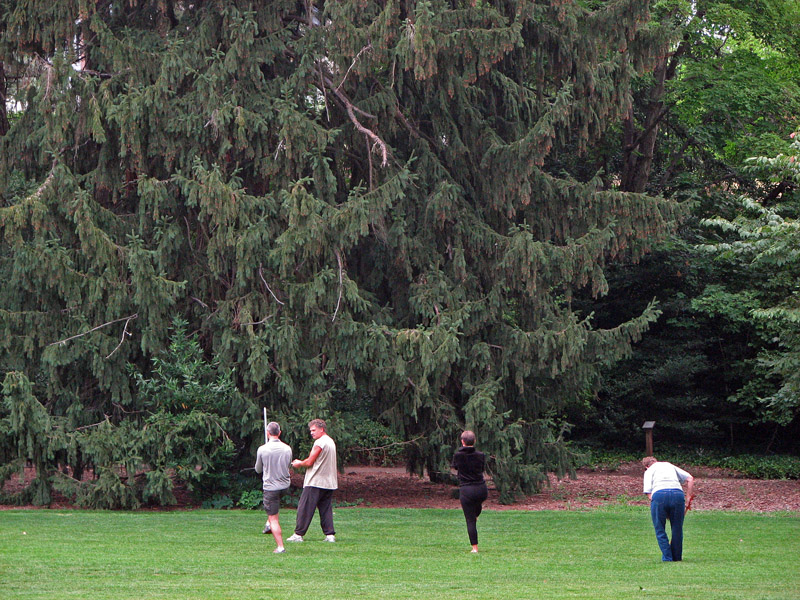 tai chi in lithia park