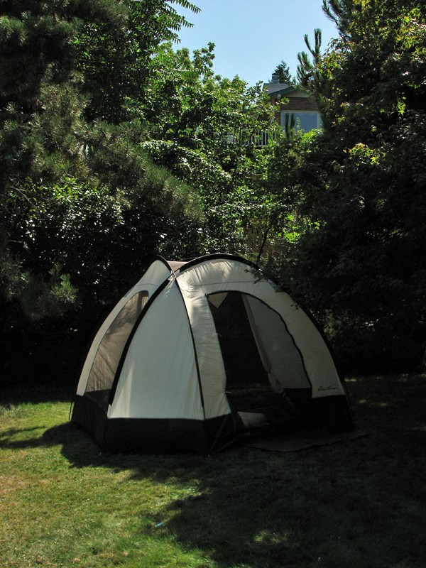 tent camping in the backyard