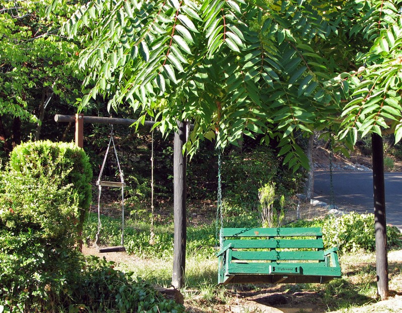 welcome swing ashland oregon
