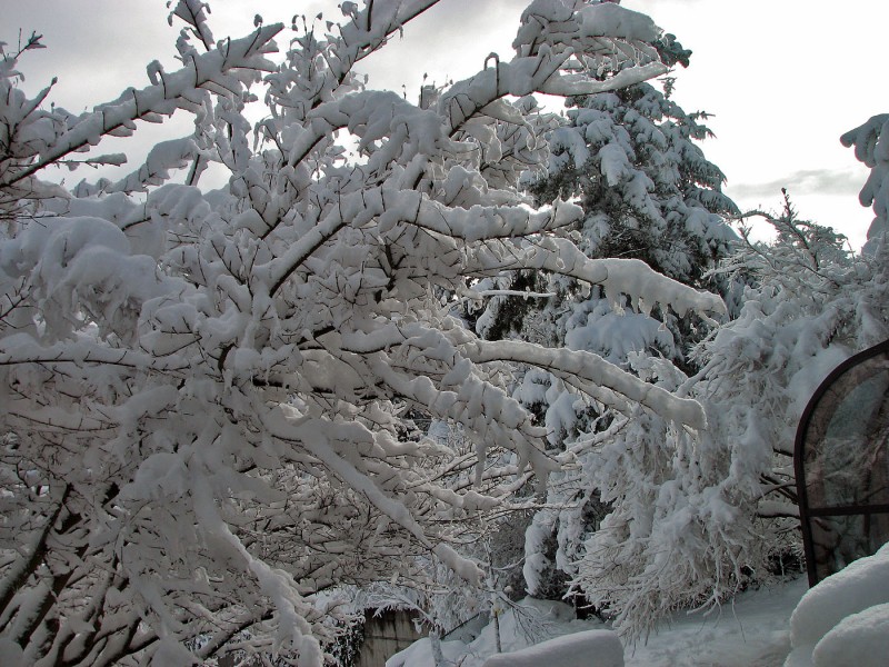 snow in ashland oregon