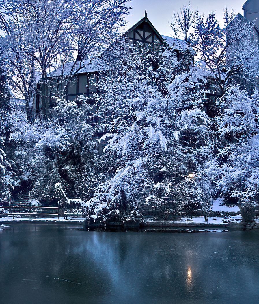 oregon shakespeare festival snow lower duck pond lithia park ashland oregon