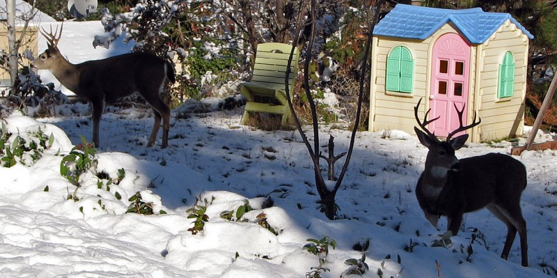 bucks consider moving in together