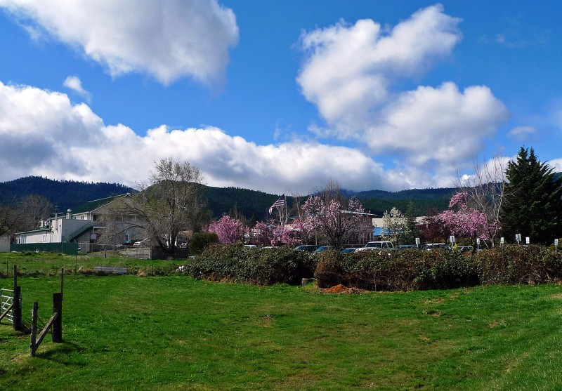 view from ashland oregon ymca