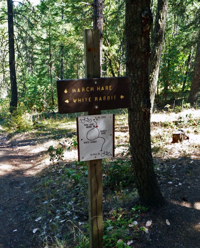 white rabbit trail map ashland oregon mad hatter queen of hearts