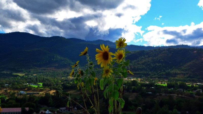 ashland oregon