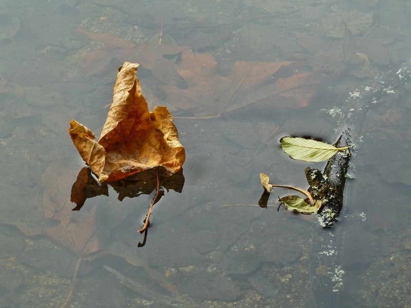 ashland reservior